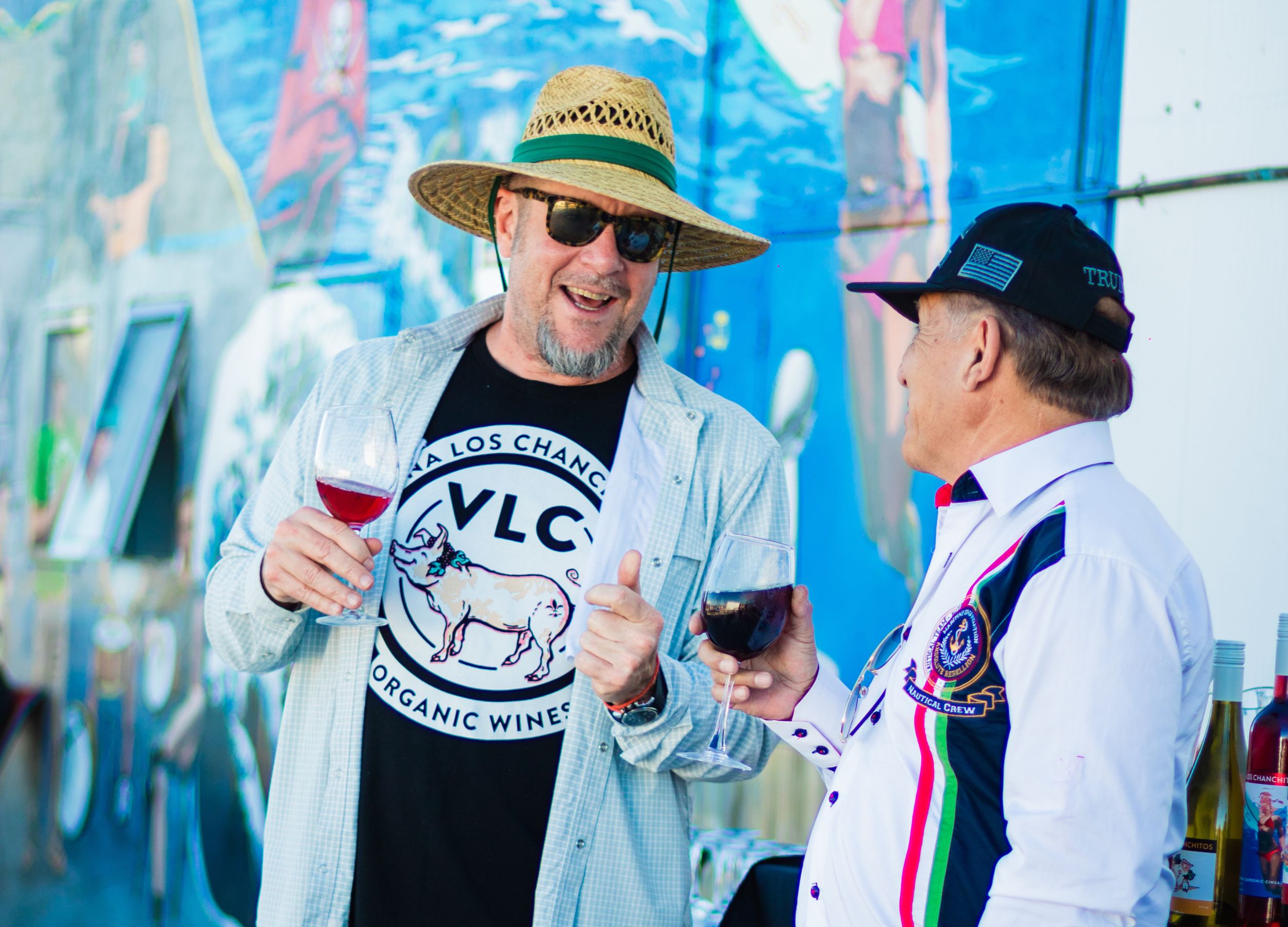 VLC-wines-viña-los-chanchitos-santa-ana-mural-14