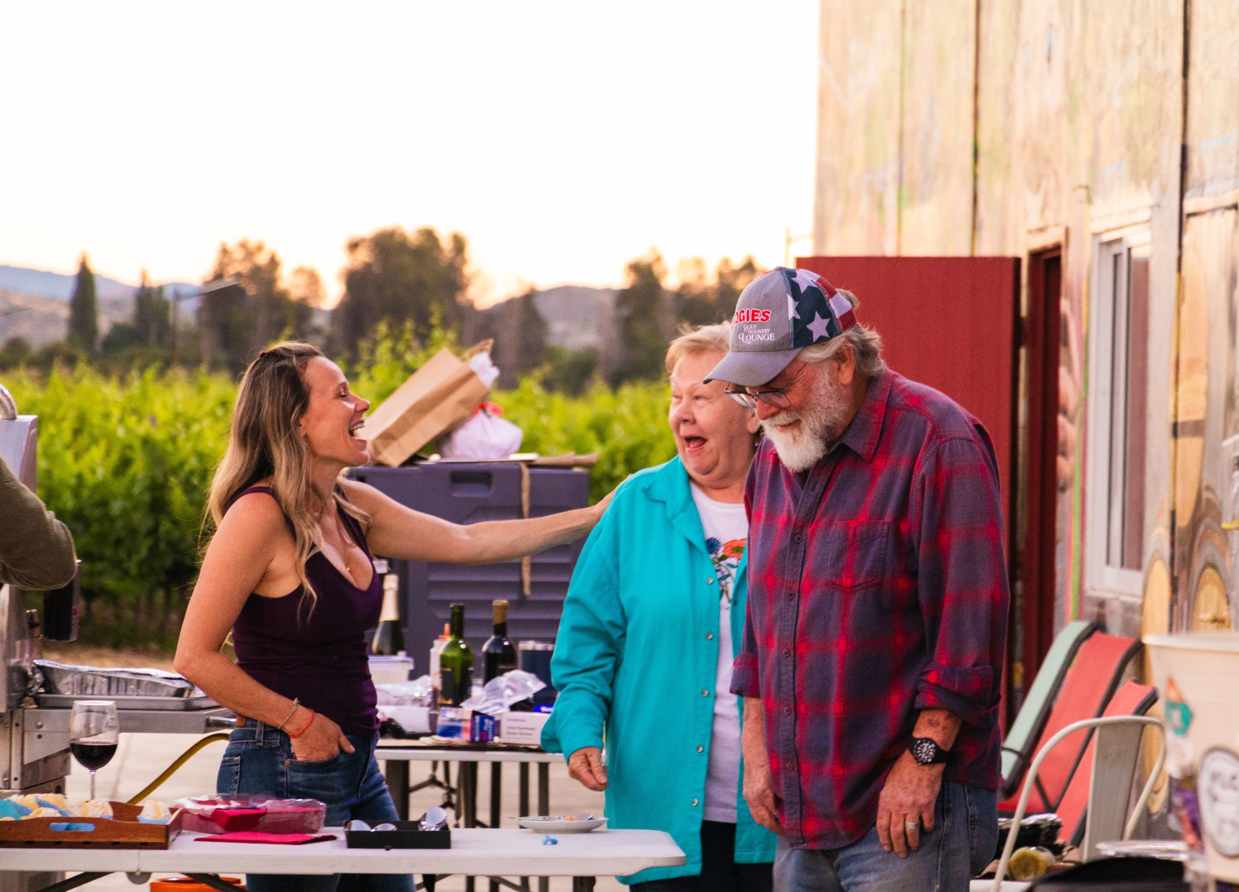 VLC-wines-viña-los-chanchitos-santa-ana-mural-2