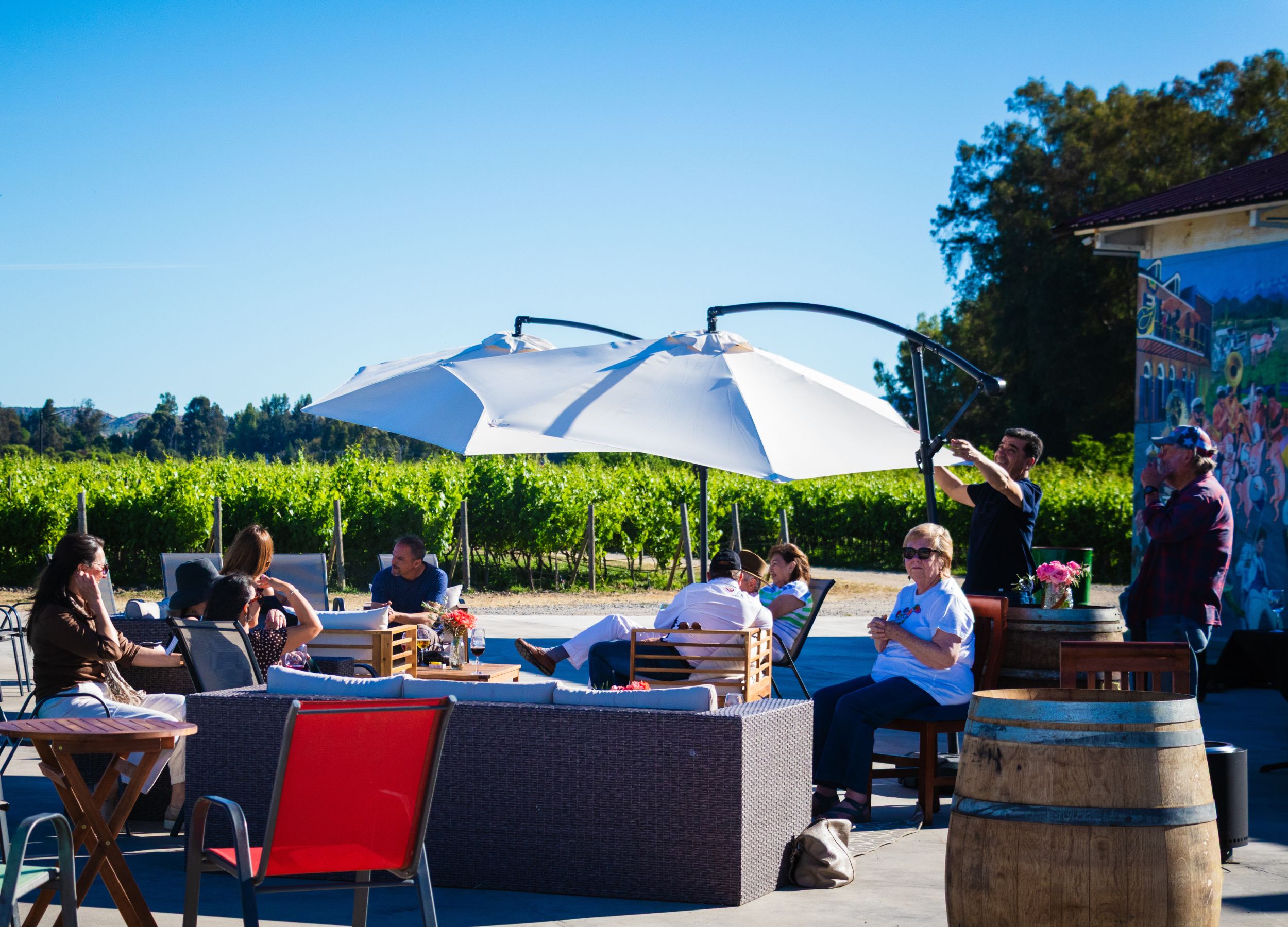 VLC-wines-viña-los-chanchitos-santa-ana-mural-7