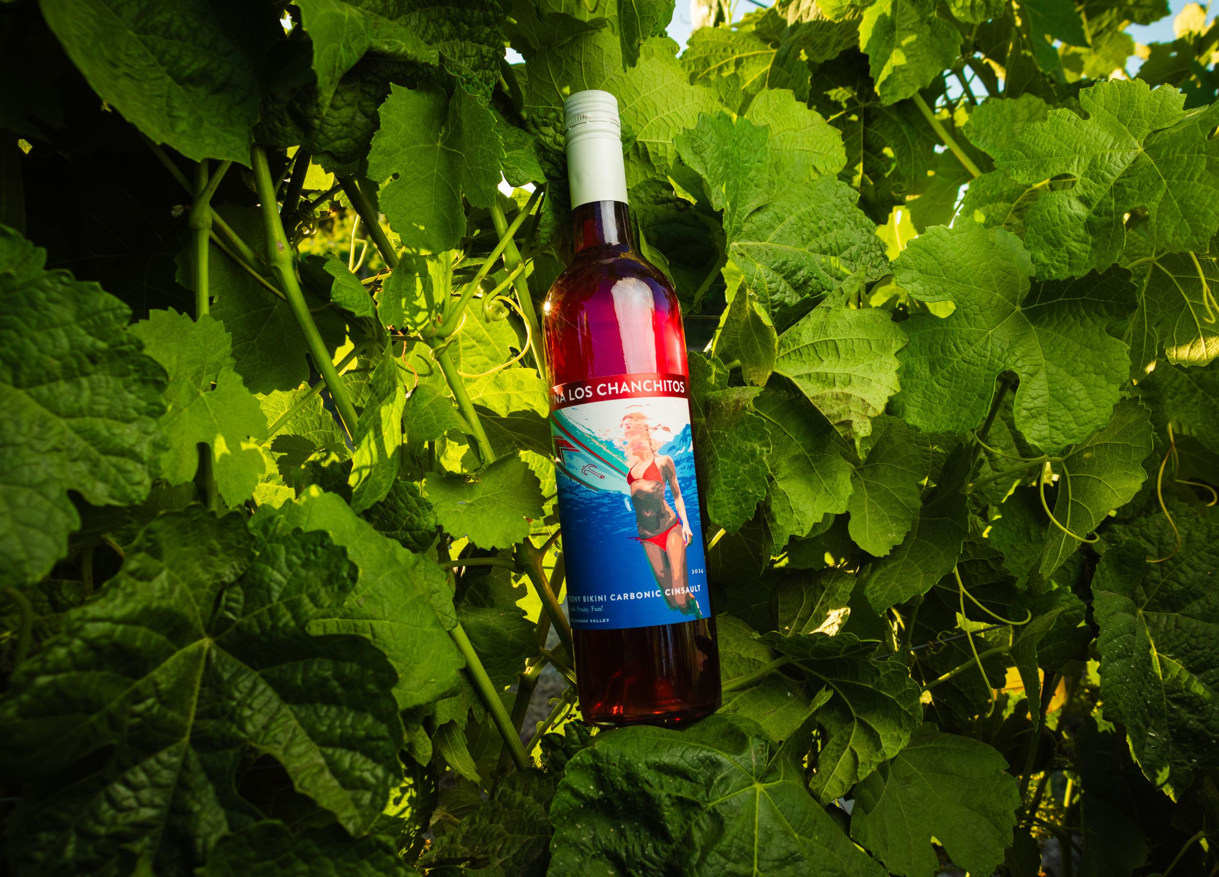 VLC-wines-viña-los-chanchitos-santa-ana-mural-8