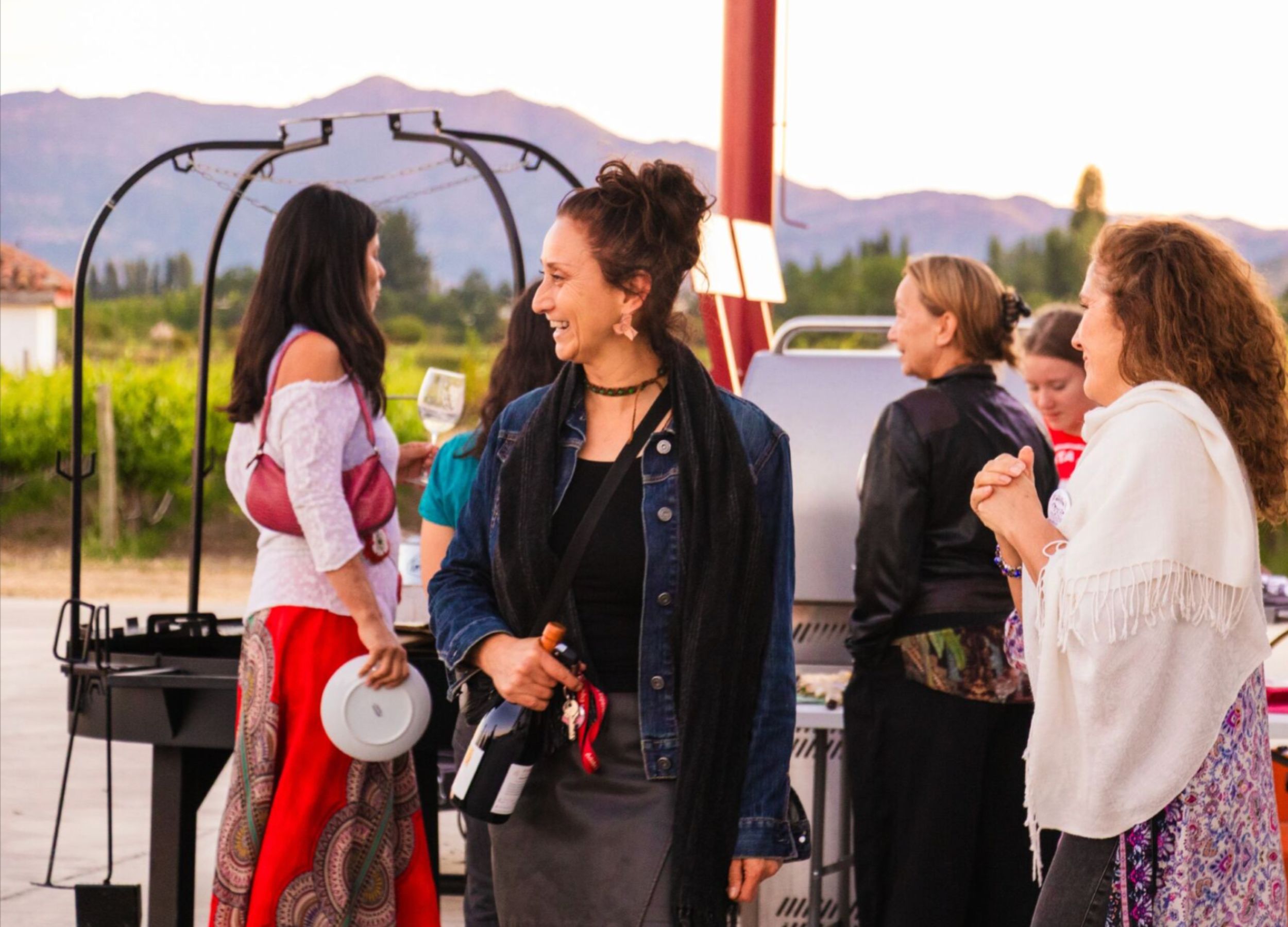 vlc-wines-viña-los-chanchitos-tours-santa-ana-colchagua-11