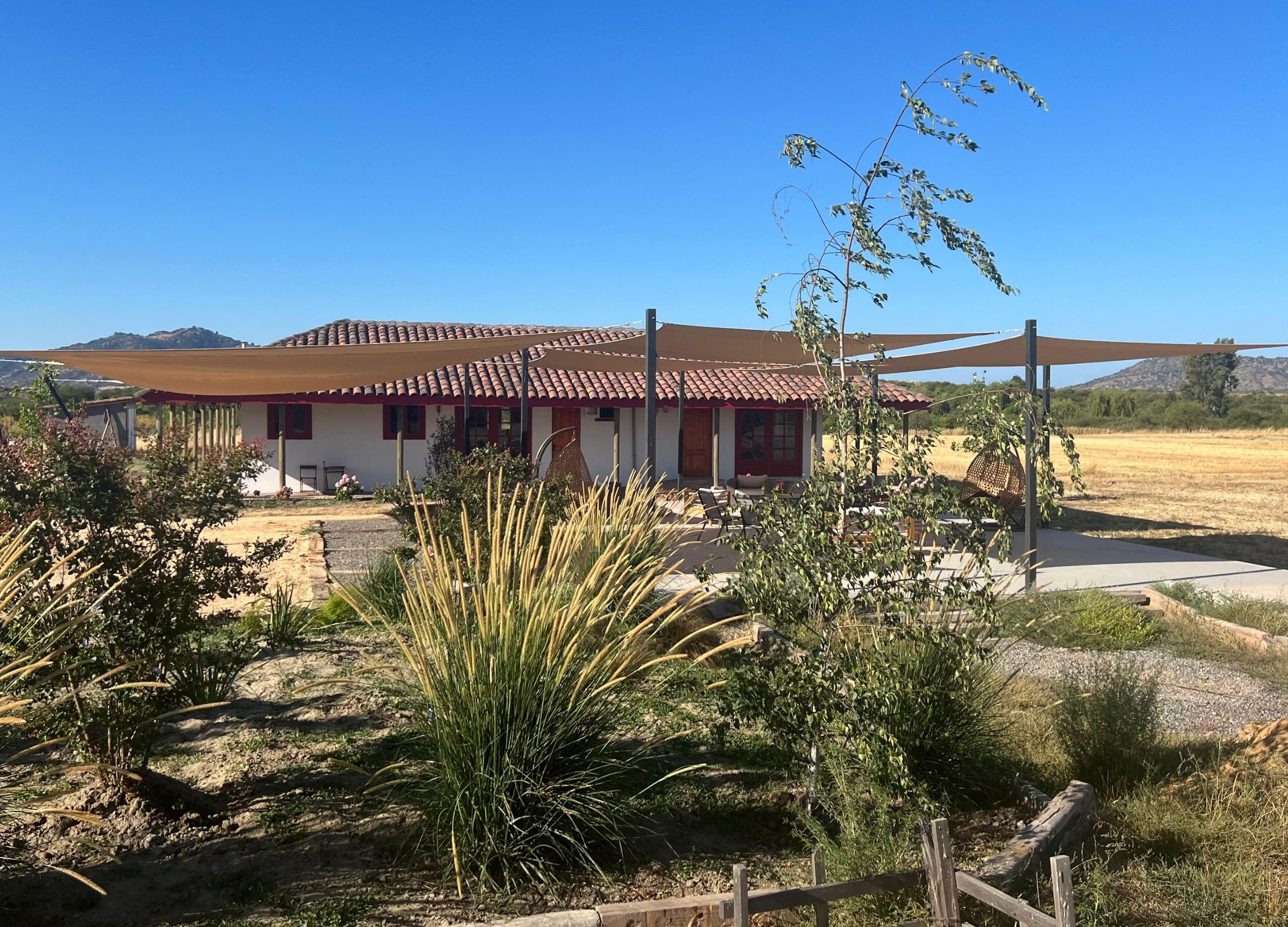 vlc-wines-viña-los-chanchitos-tours-santa-ana-colchagua-7