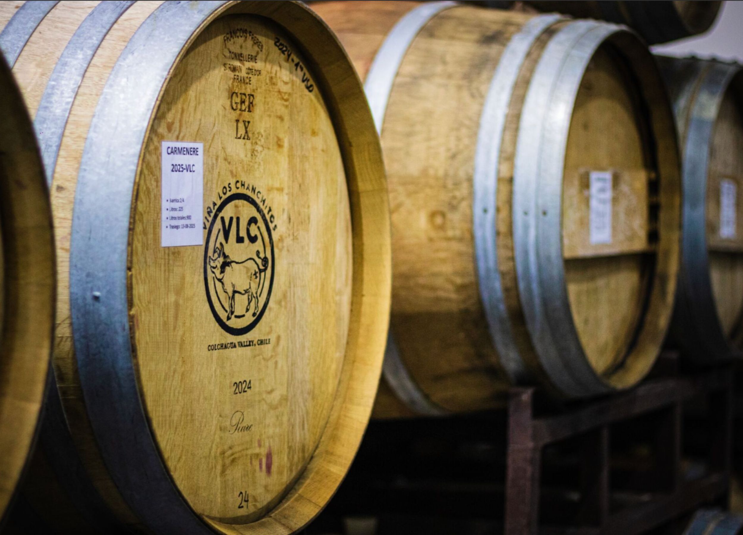 vlc-wines-viña-los-chanchitos-tours-santa-ana-colchagua-8