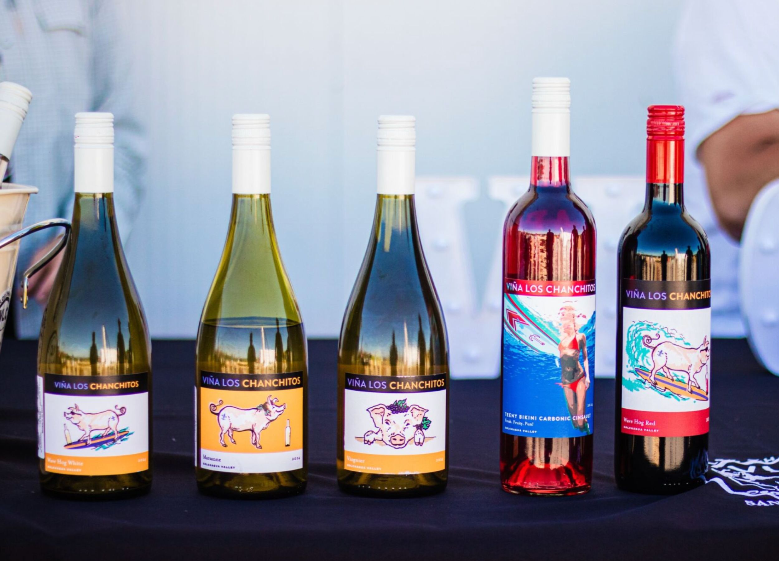 vlc-wines-viña-los-chanchitos-tours-santa-ana-colchagua-9